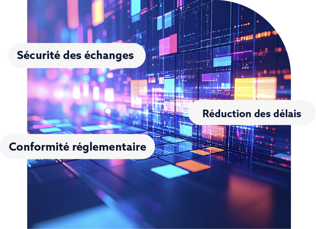Customs Clearance Software via Conex™