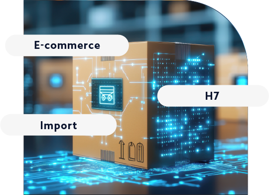 H7 Express Declaration-Header-fr