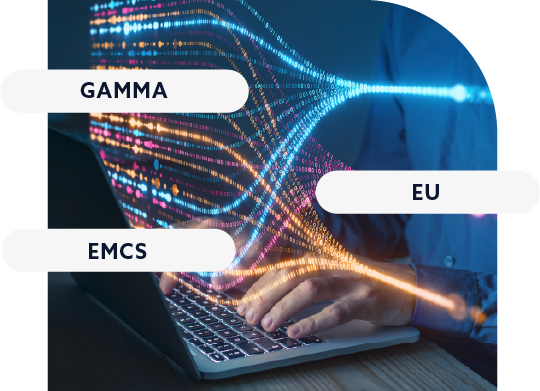 Software for managing movements of goods subject to Excise Duties: ACCISES via conex™